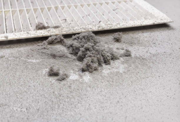 Best Ductwork Cleaning Services  in Fort Mohave, AZ